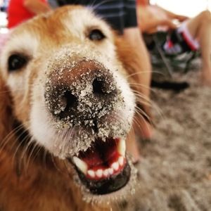 Meet your Posher, Kristen